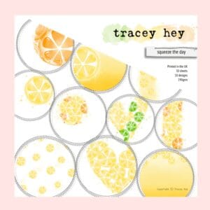Pack 30 Papeles 10 Diseños 6x6 "Squeeze the day" Tracey Hey
