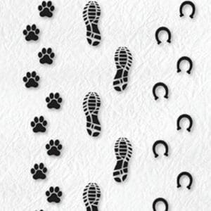 Sello Nellie Footprints