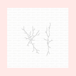 Troquel Crackle D231021